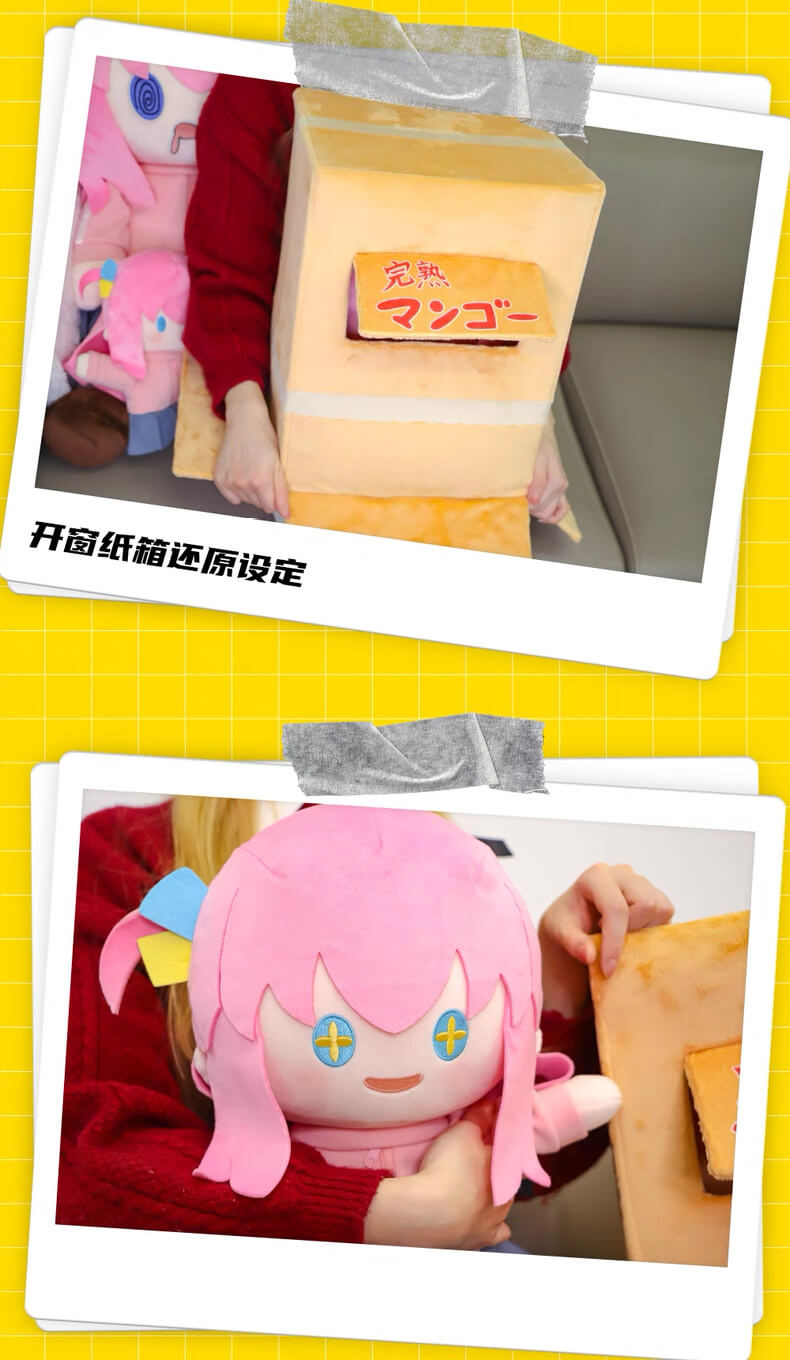 Bocchi the Rock! Hitori Gotoh plush toy with box, prodct details